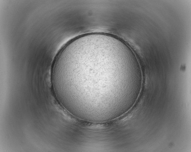 X0000090431174200707272125