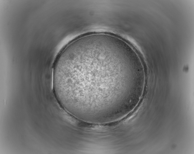 X0000090431175200707272125