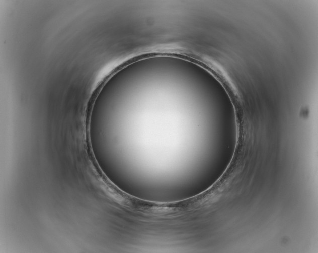 X0000090431176200707272125