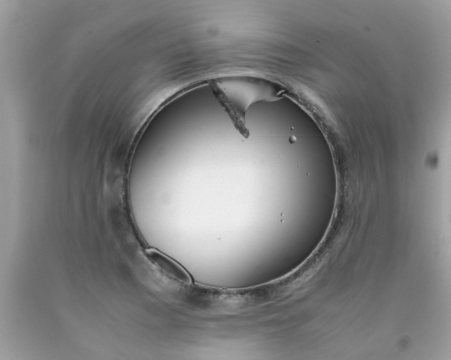 X0000090431177200707272125