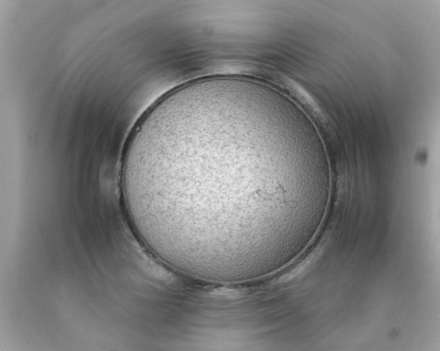 X0000090431178200707272125