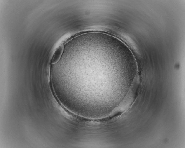 X0000090431180200707272125