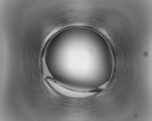 X0000090431181200707272125