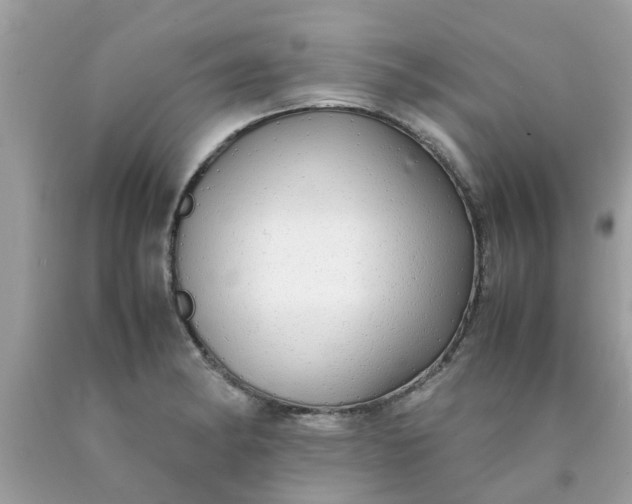 X0000090431182200707272125