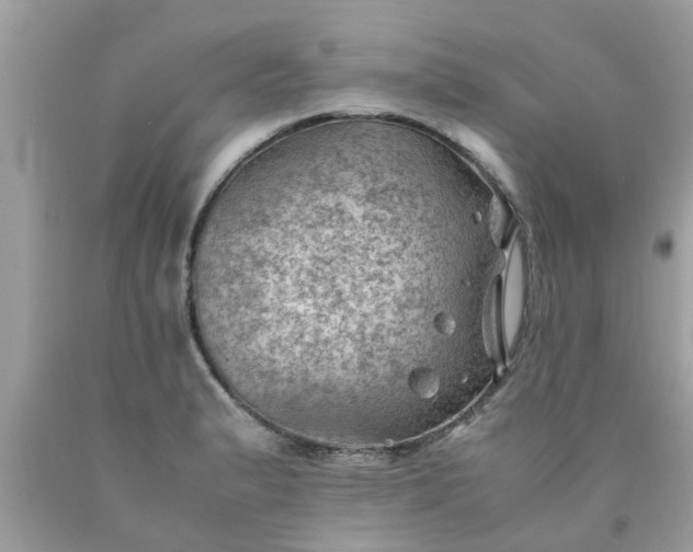 X0000090431183200707272125