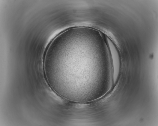 X0000090431184200707272125