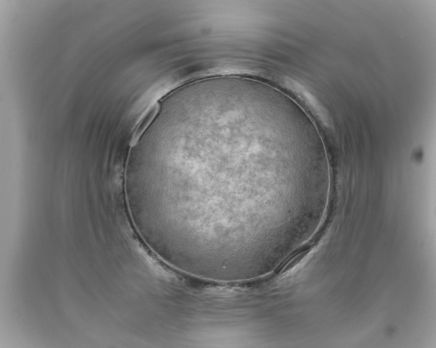 X0000090431185200707272125