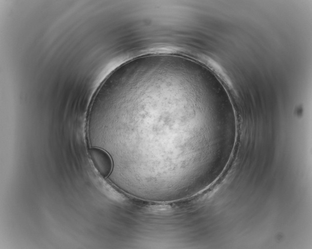 X0000090431186200707272125