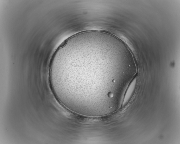 X0000090431187200707272125