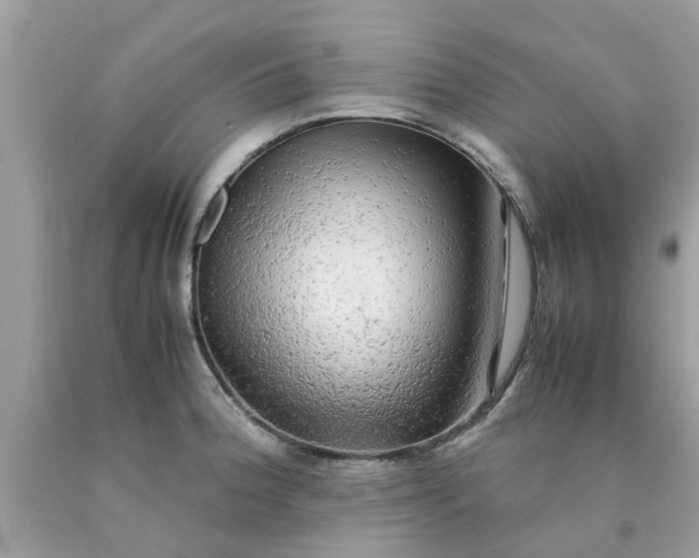 X0000090431188200707272125