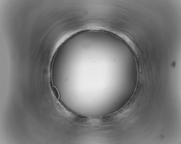 X0000090431191200707272125