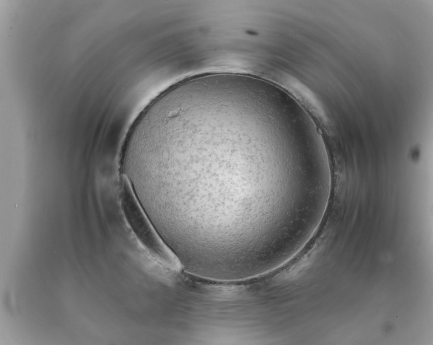 X0000090431192200707272125