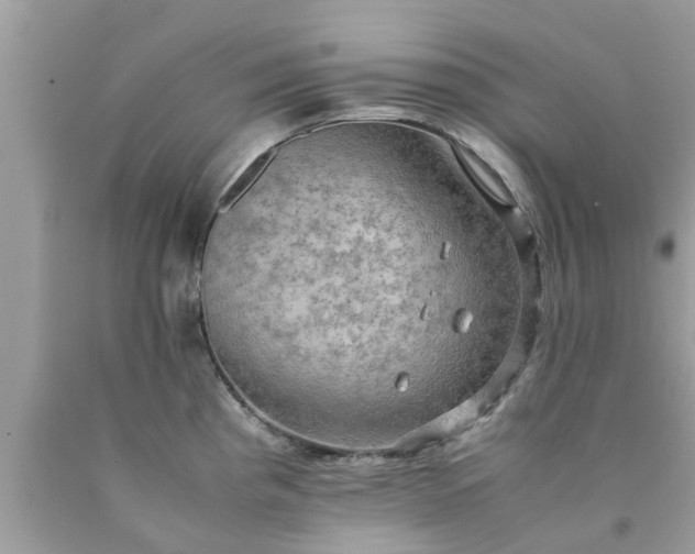 X0000090431193200707272125