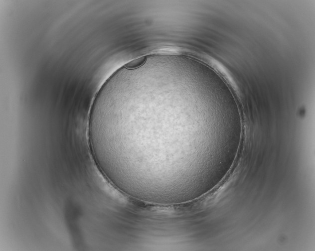 X0000090431194200707272125