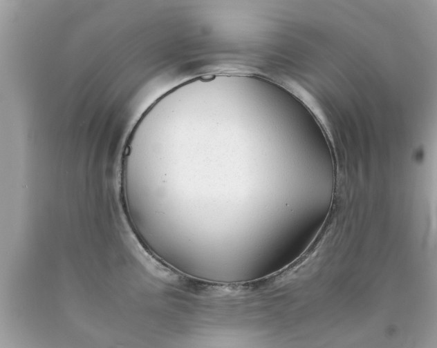 X0000090431195200707272125