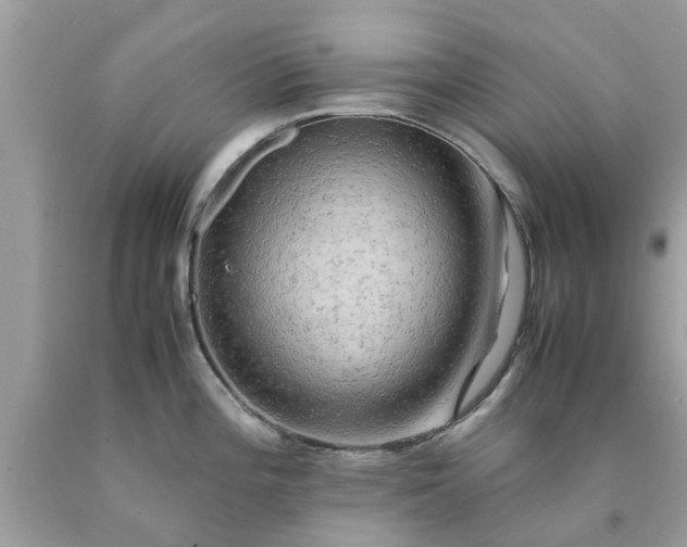 X0000090431196200707272125