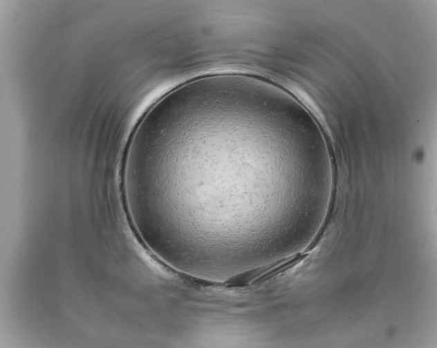 X0000090431197200707272125