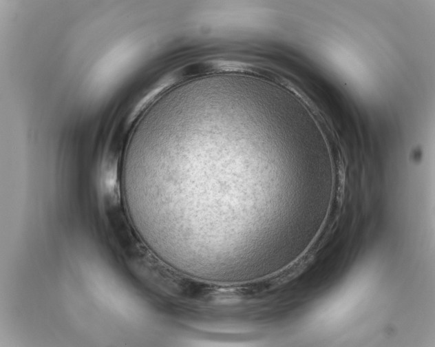 X0000090431198200707272125