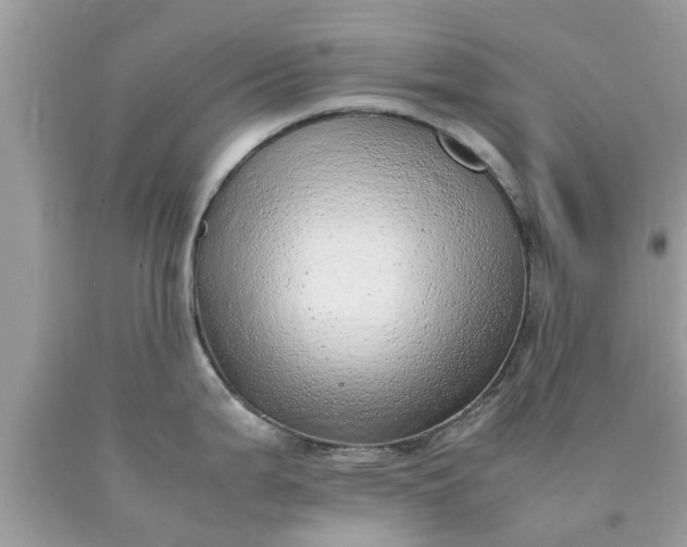 X0000090431199200707272125