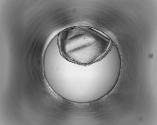 X0000090431200200707272124