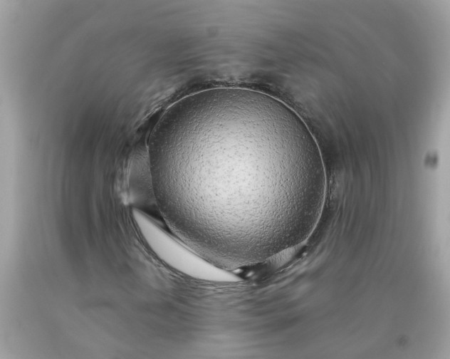 X0000090431202200707272124