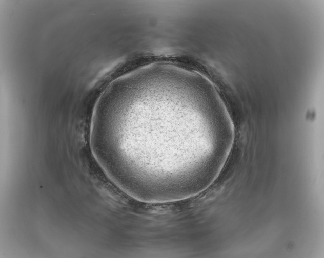 X0000090431205200707272124