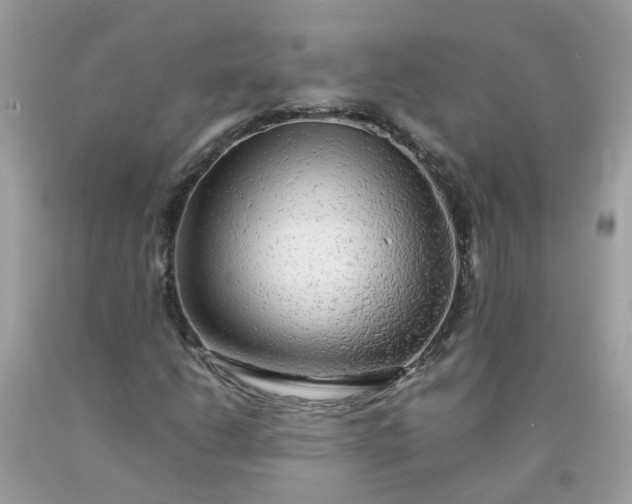 X0000090431206200707272124