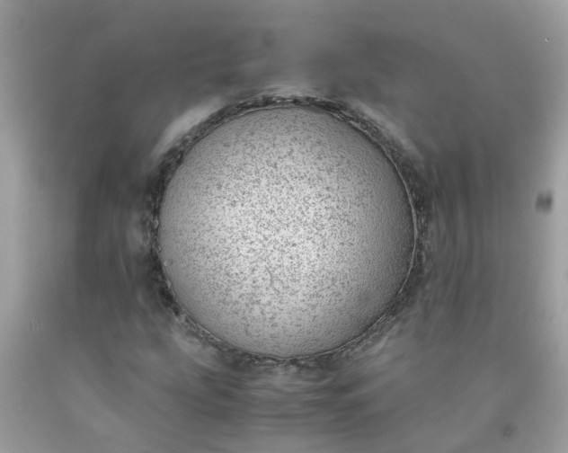 X0000090431207200707272124