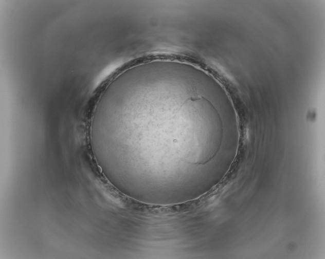 X0000090431208200707272124