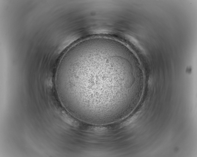 X0000090431209200707272124