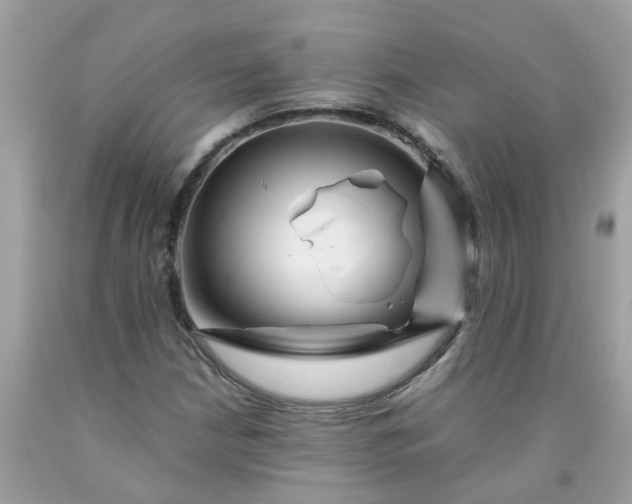 X0000090431210200707272124