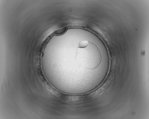 X0000090431211200707272124