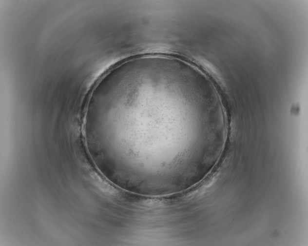 X0000090431212200707272124