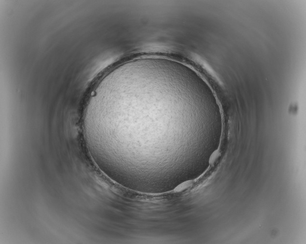 X0000090431213200707272124