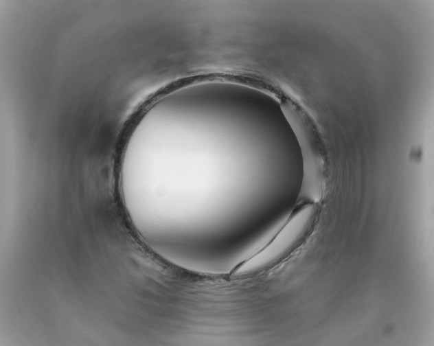 X0000090431214200707272124