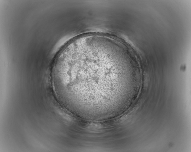 X0000090431215200707272124