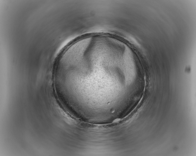 X0000090431216200707272124