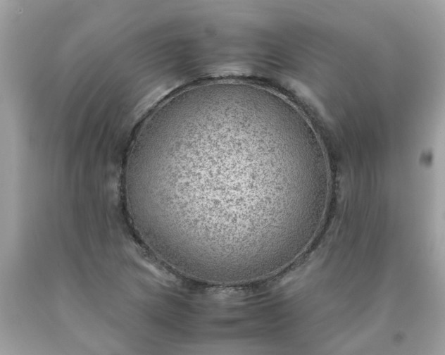 X0000090431217200707272124