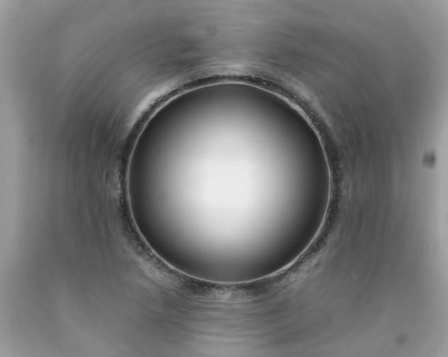 X0000090431218200707272124