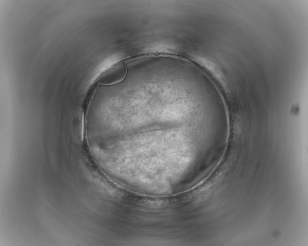 X0000090431219200707272124