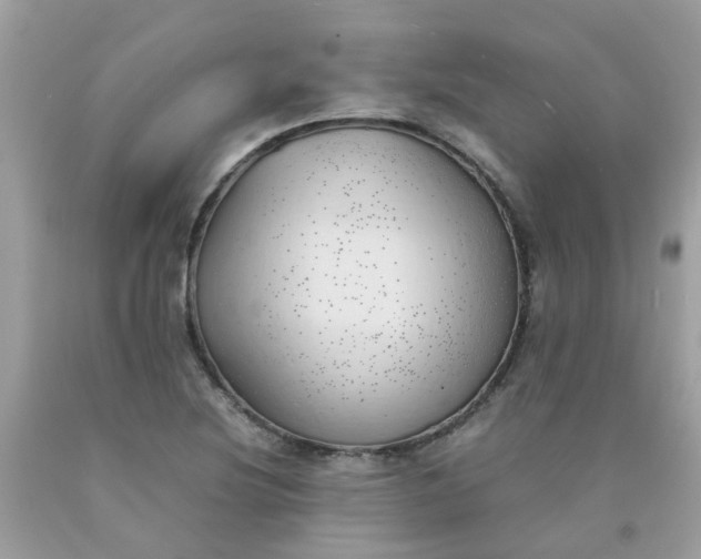 X0000090431220200707272124