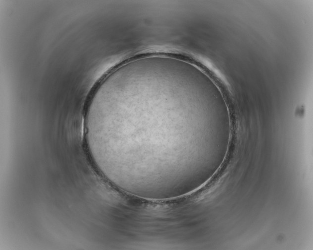 X0000090431221200707272124