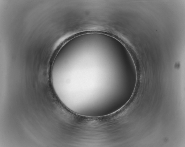 X0000090431222200707272124