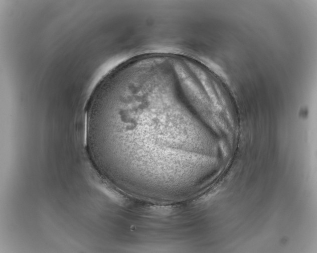 X0000090431223200707272124