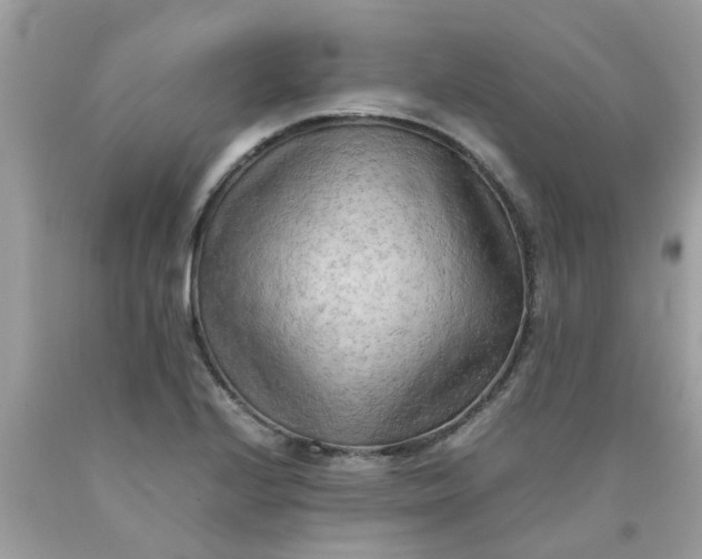 X0000090431224200707272124