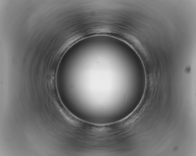 X0000090431225200707272124