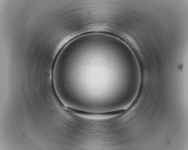 X0000090431226200707272124