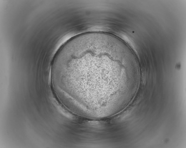 X0000090431227200707272124