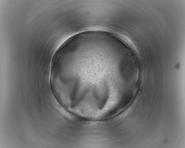 X0000090431228200707272124