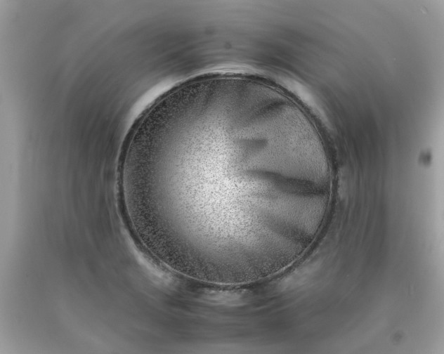 X0000090431229200707272124